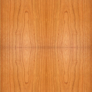 ATC SCM100ASL 主動式 Active (Bookshelf)