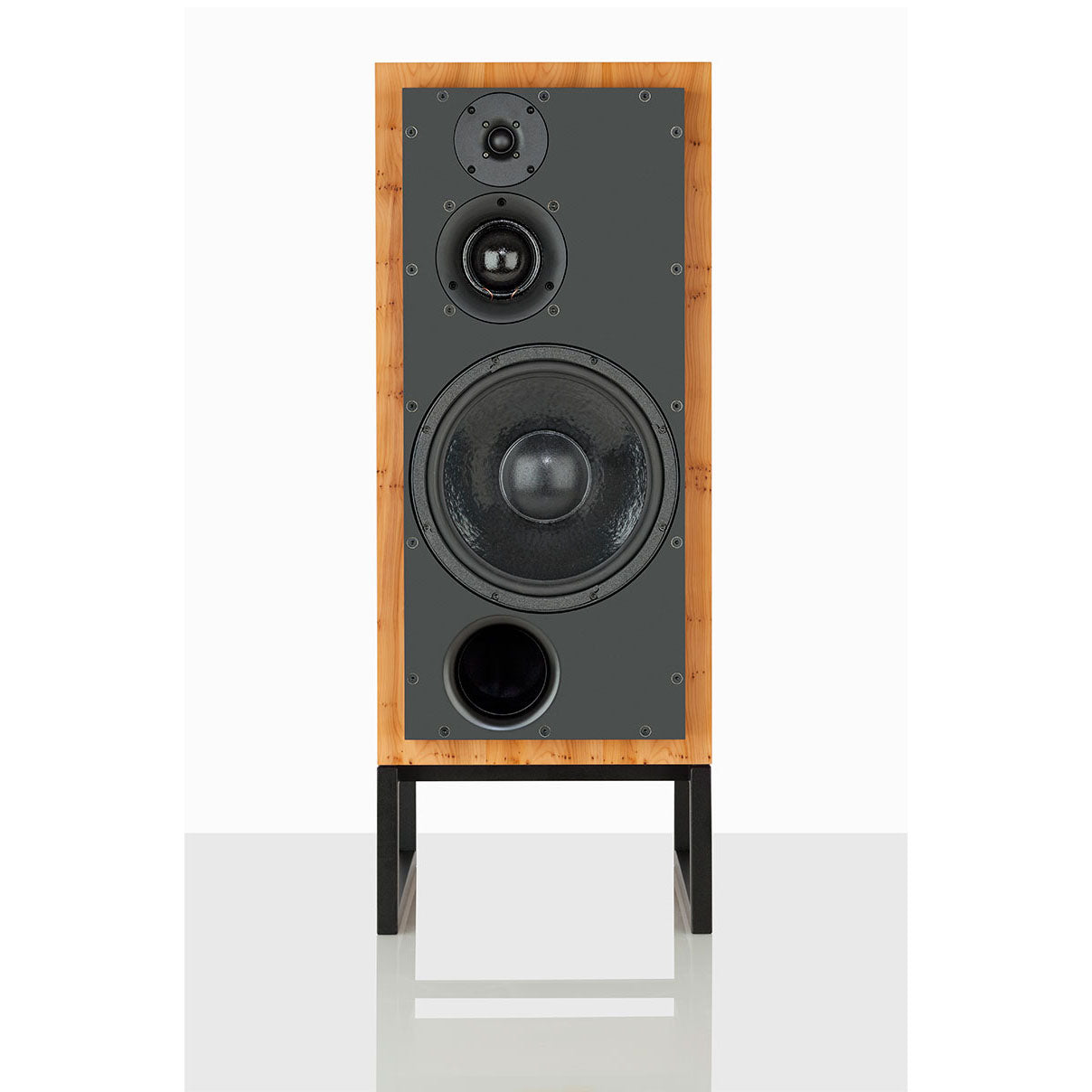 ATC SCM100ASL Active Active (Bookshelf)