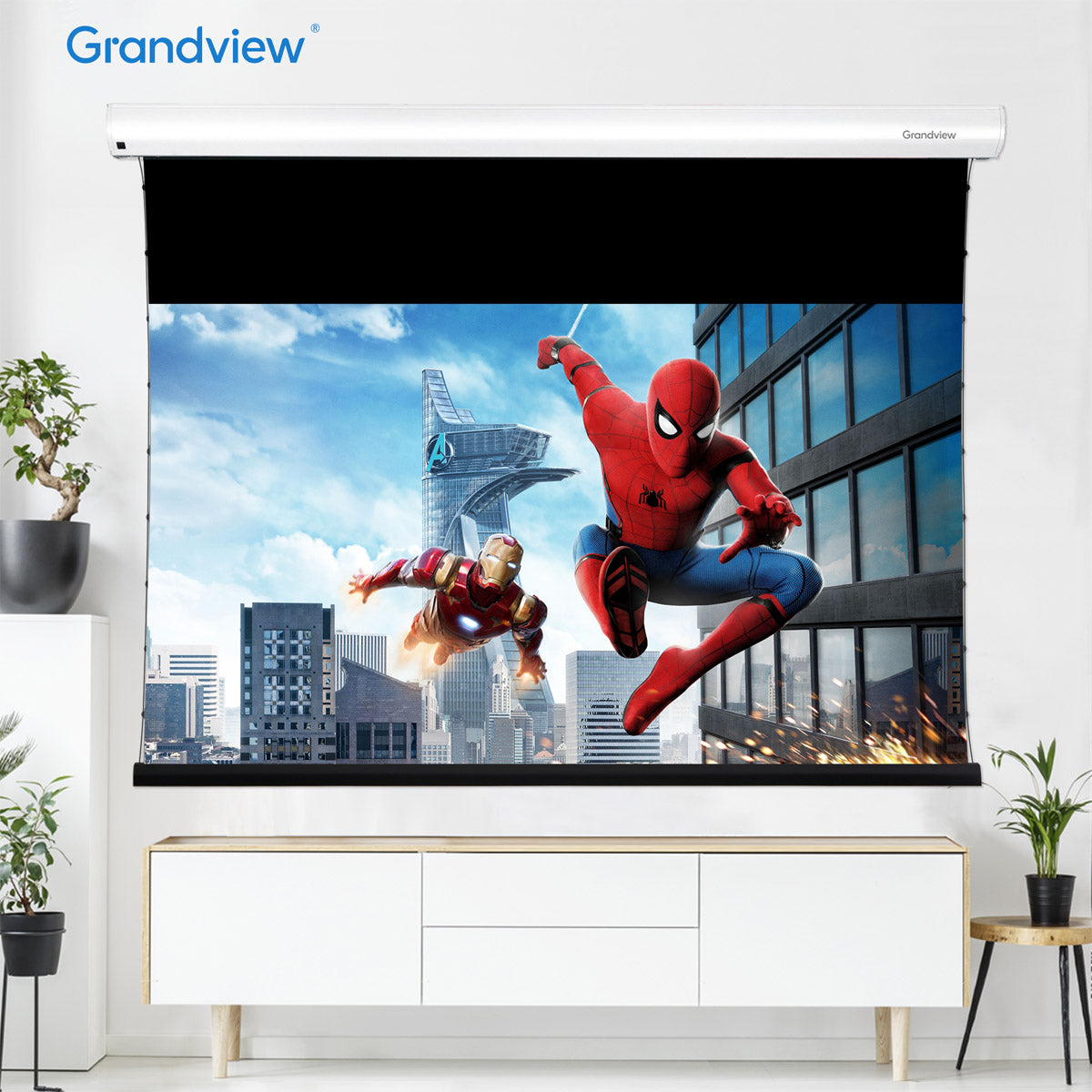 Grandview Dynamique Series ALR black grid electric anti-light curtain