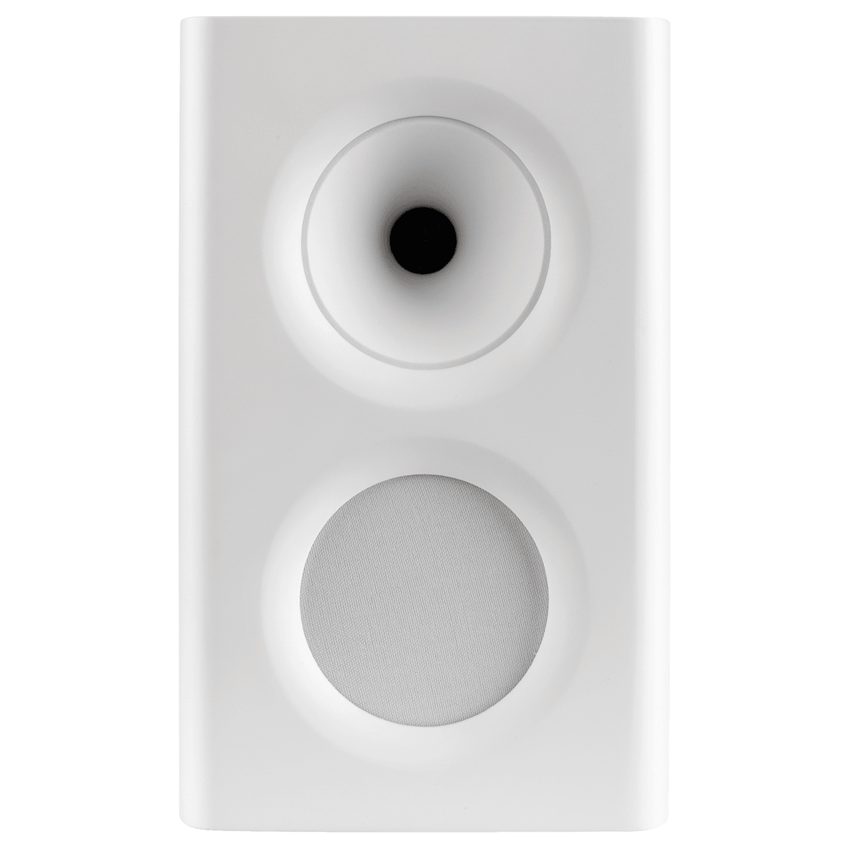 Procella P5 monitor speakers