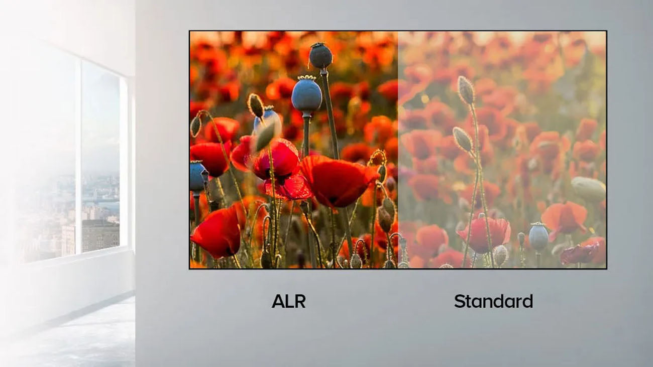 VS Screen ALR series black grid anti-light curtain