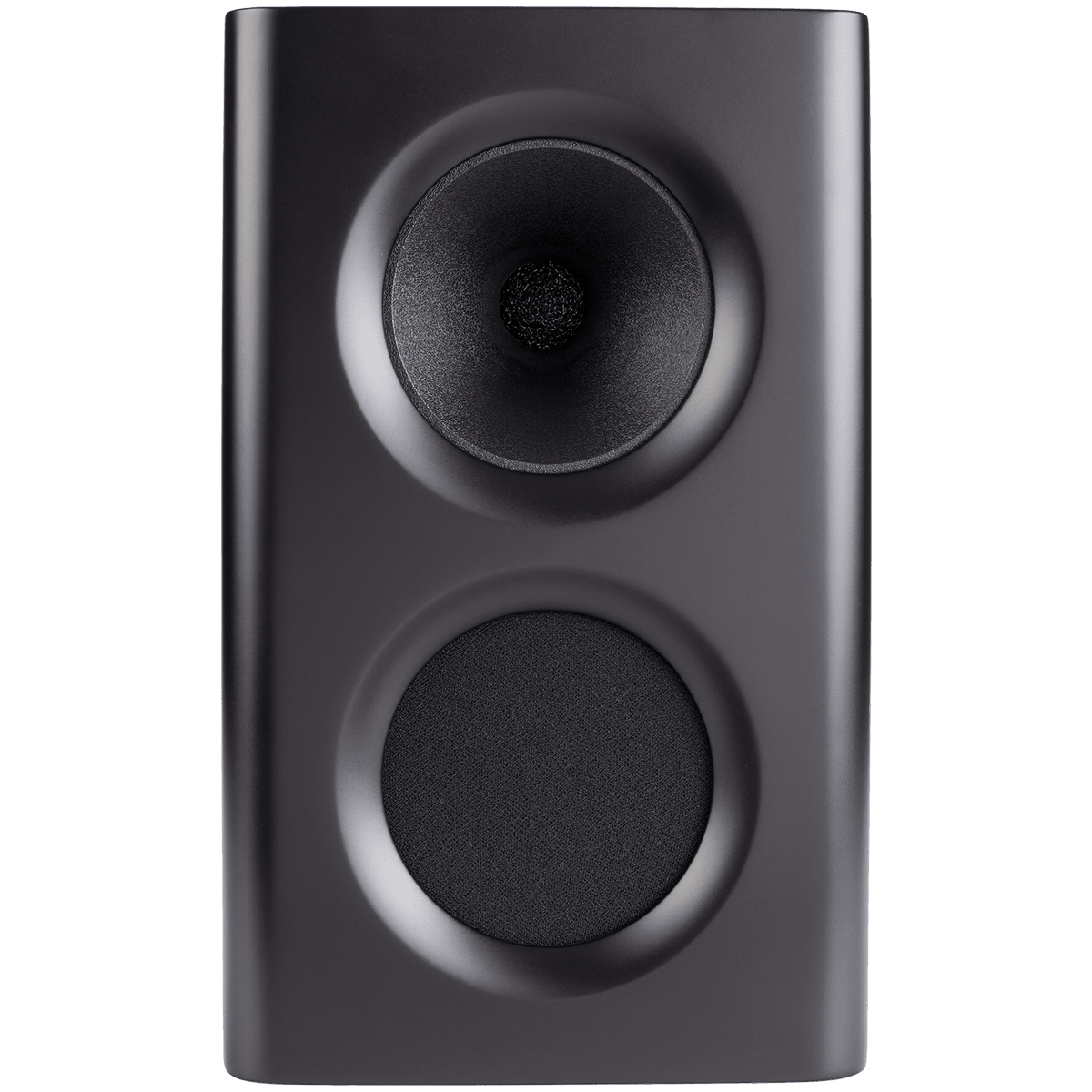 Procella P5 monitor speakers
